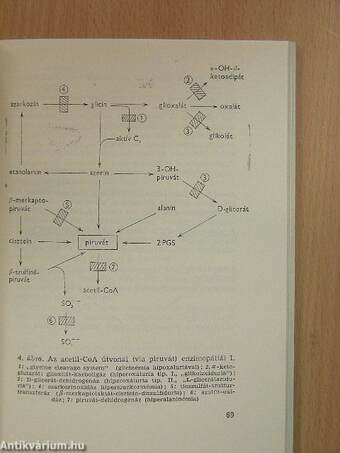 A biológia aktuális problémái 6.