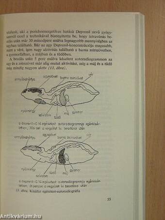 A biológia aktuális problémái 8.