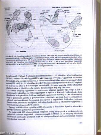 Biokémia