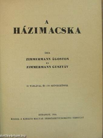 A házimacska