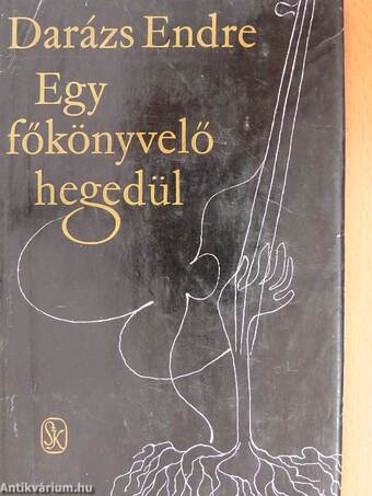 Egy főkönyvelő hegedül