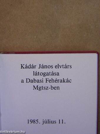 Kádár János elvtárs látogatása a Dabasi Fehérakác Mgtsz-ben (minikönyv)