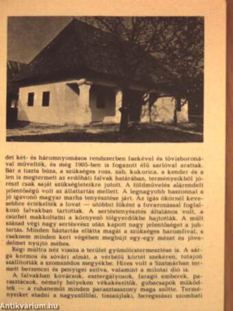 Szentendre - Szabadtéri Néprajzi Múzeum I.