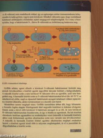 Kiegészítő fejezetek a biológia érettségihez