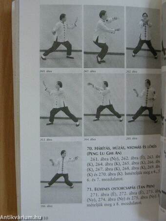 Yang-stílusú Tai Chi Chuan