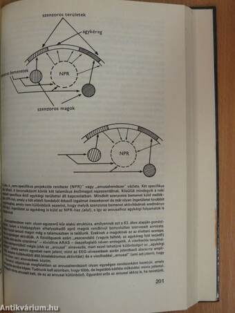 A pszichológia alapkérdései