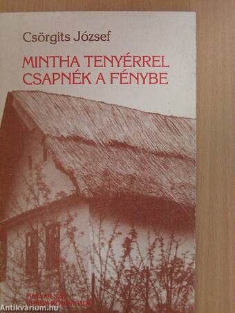 Mintha tenyérrel csapnék a fénybe