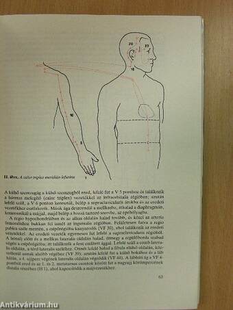 Klinikai akupunktúra