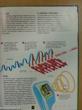 Kommunikáció