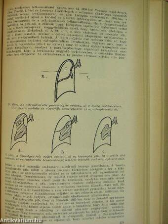 Klinikai therapia 1-2.