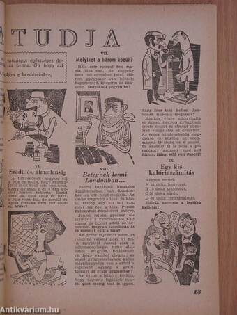 Füles 1962. február 4.