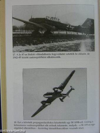 A Luftwaffe vadászlégiereje