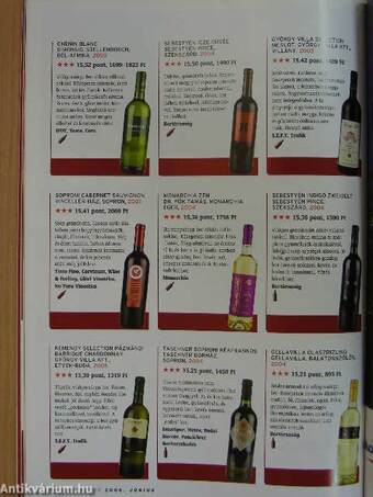 Decanter 2006. június