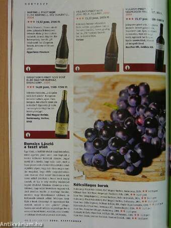 Decanter 2006. szeptember