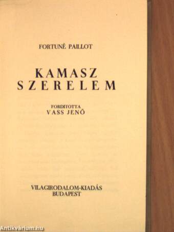 Kamasz szerelem