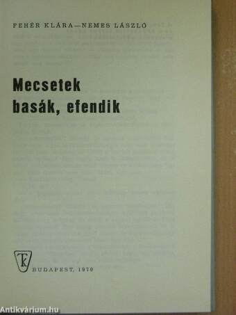 Mecsetek, basák, efendik