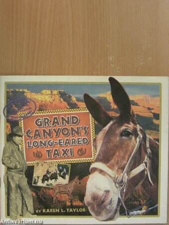 Grand Canyon's long-eared taxi