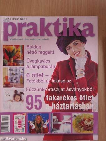 Praktika 2002. január-december