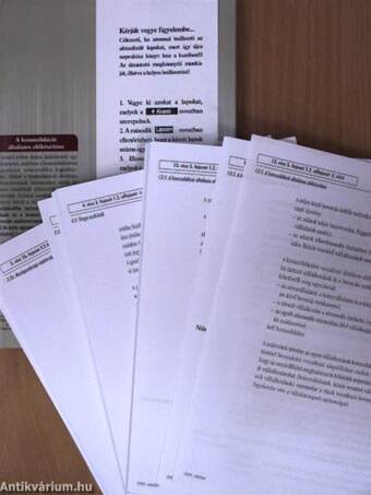 Számvitel a vállalkozások gyakorlatában 21. aktualizálás és kiegészítés 2005. október