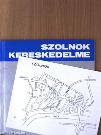 Szolnok kereskedelme