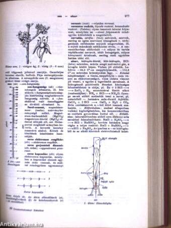 Természettudományi Kislexikon A-Z