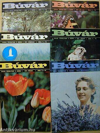 Búvár 1974. január-december