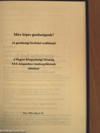 Gazdaság 1992. tavasz-ősz/Alkalmazkodási kényszer válsághelyzetben/Mire képes gazdaságunk?