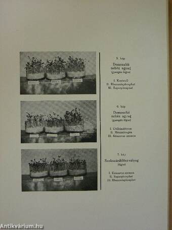 A M. Kir. Szőlő és Borgazdasági Központi Kisérleti Állomás (Ampelologiai intézet) Évkönyve 1926-1935.