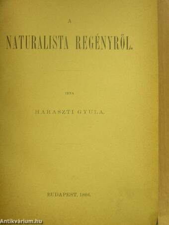 A naturalista regényről