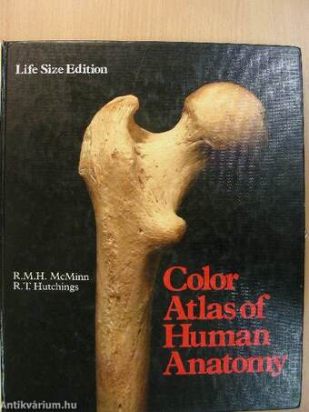 Color Atlas of Human Anatomy