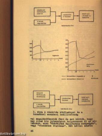 Vállalati szervezés 1979. január-december I-II.