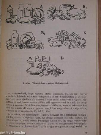 A családi élet iskolája fiúknak