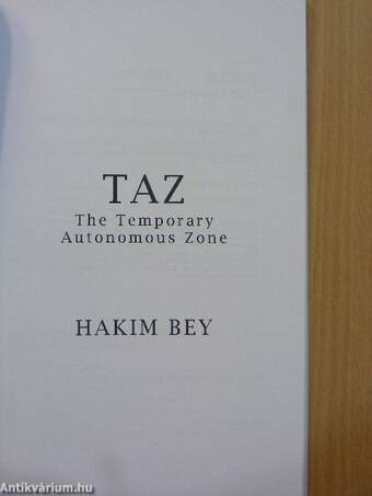 T. A. Z. - The Temporary Autonomous Zone