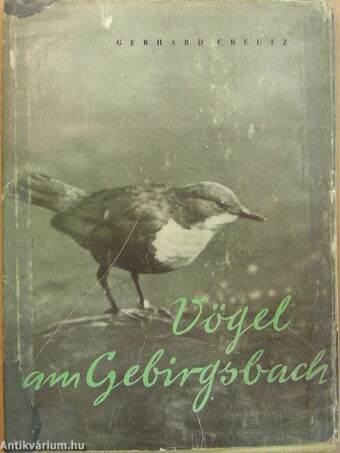 Vögel am Gebirgsbach