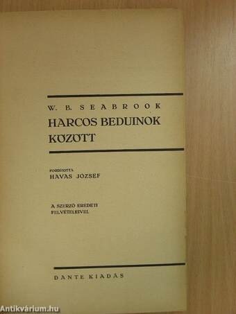 Harcos beduinok között