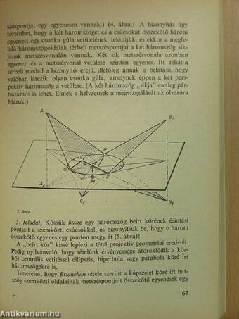 Élő matematika