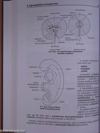 Alkalmazott biológia