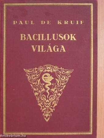 Bacillusok világa