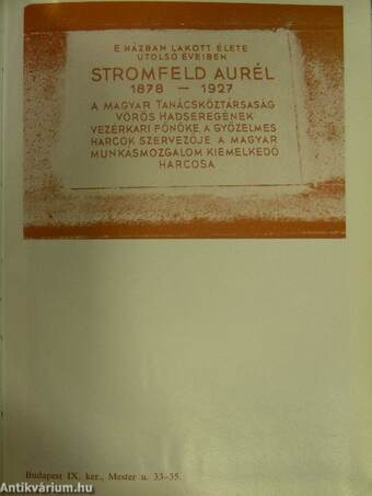 Stromfeld Aurél