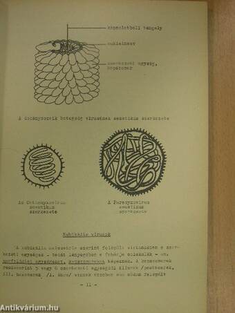 Kiegészítő fejezetek az általános mikrobiológia tárgyköréhez