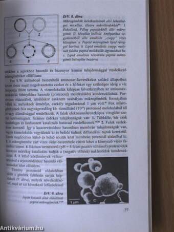 A földi élet keletkezésének hipotézisei ma