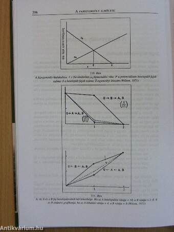 Bevezetés az ökológiába