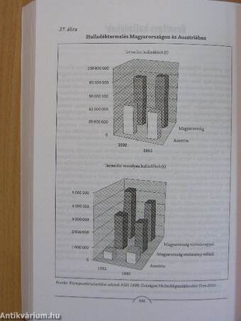 A megkérdőjelezett sikerágazat