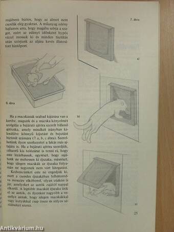 Gondoskodás a macskáról