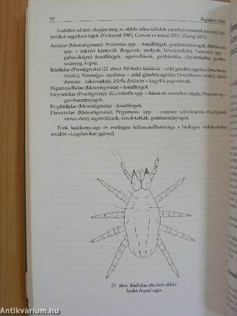 Növényvédelmi akarológia - Kártevő és hasznos atkák