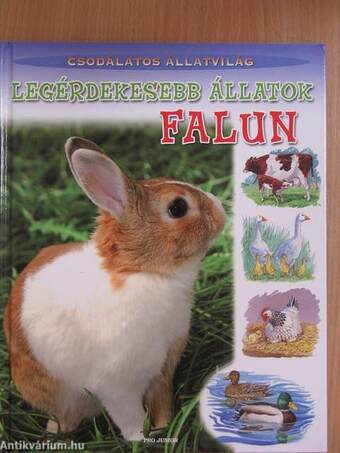 Legérdekesebb állatok falun