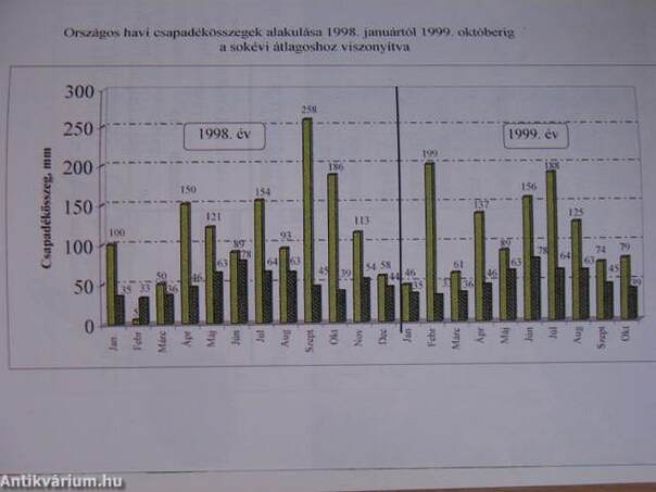 Napraforgó 1999