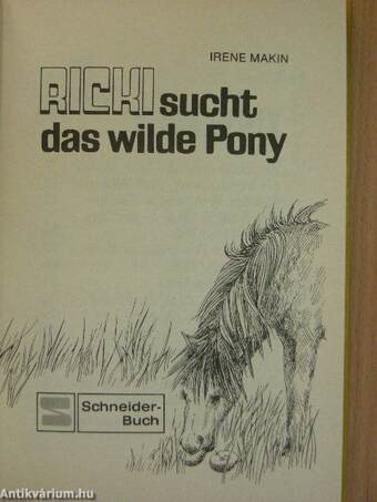 Ricki sucht das wilde Pony