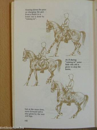 The Horse and Horsemanship