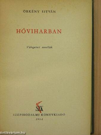 Hóviharban